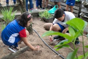 estímulo investigativo no Ensino Fundamental