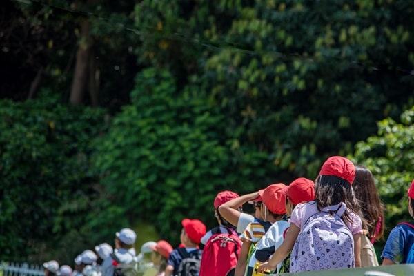 preparar filhos para aulas de campo fora da escola