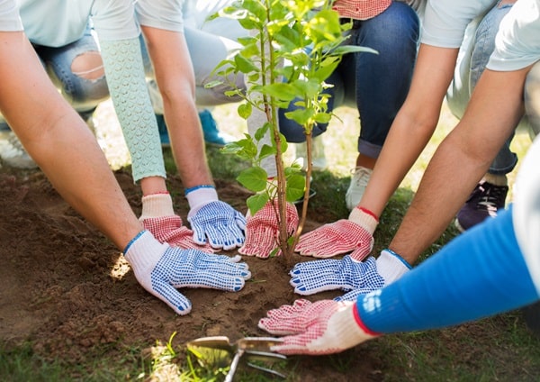 envolvimento de estudantes do Ensino Médio em projetos comunitários ou voluntariado